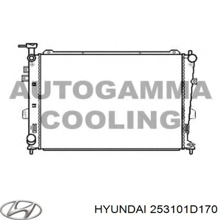 253101D170 Hyundai/Kia радиатор