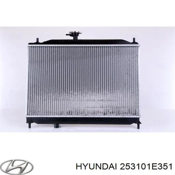  253101E351 Hyundai/Kia