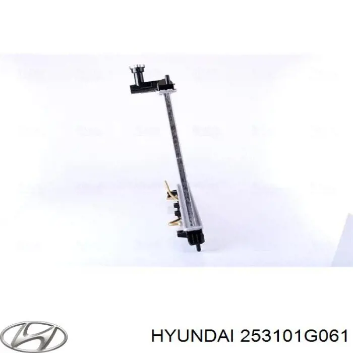 Радиатор 253101G061 Hyundai/Kia