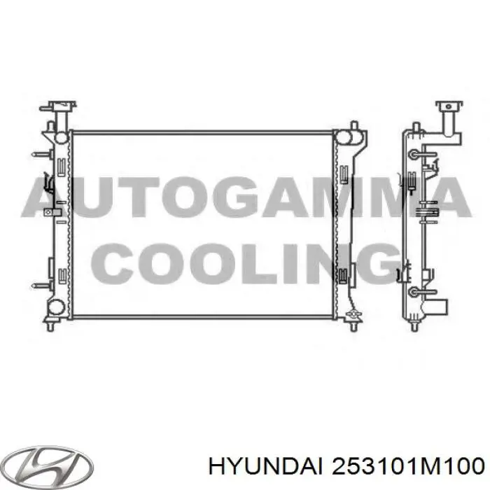 Радиатор 253101M100 Hyundai/Kia