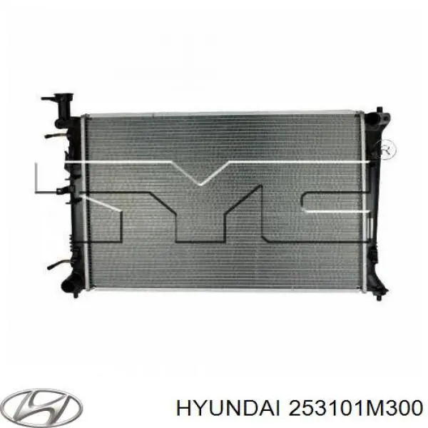 253101M300 Hyundai/Kia радиатор