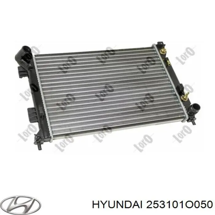  253101O050 Hyundai/Kia