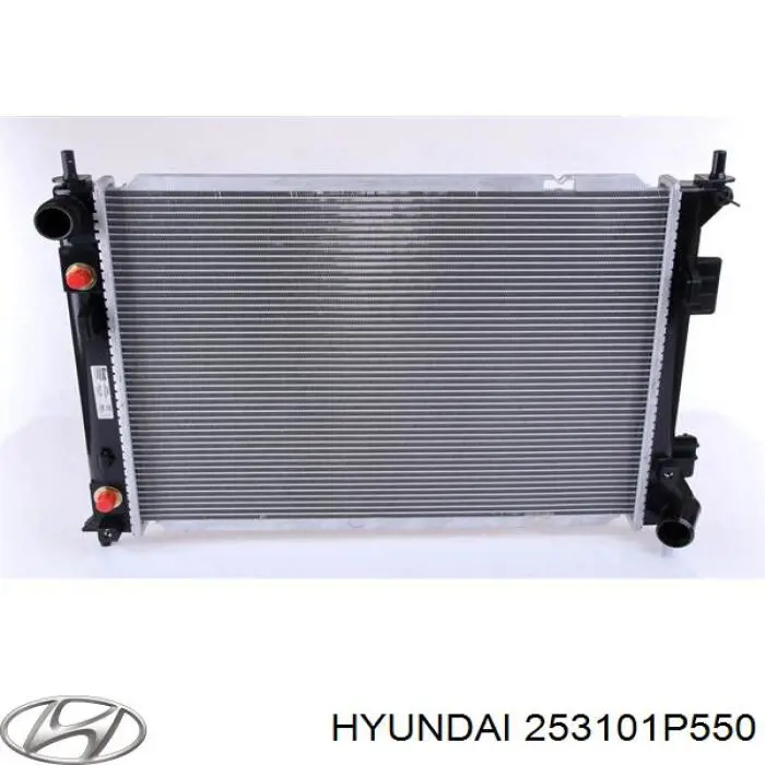  253101P550 Hyundai/Kia