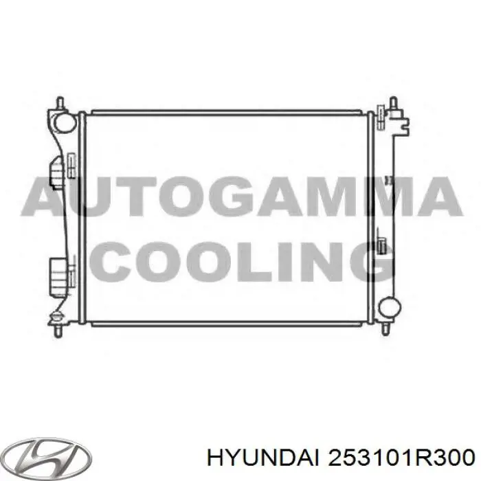 Купить 253101R300 Hyundai/Kia Радиатор водяной