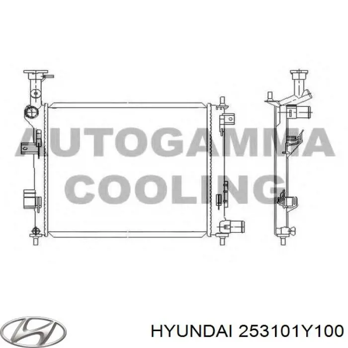 Радиатор охлаждения двигателя Hyundai/Kia 253101Y100 цена, от 43.70 USD