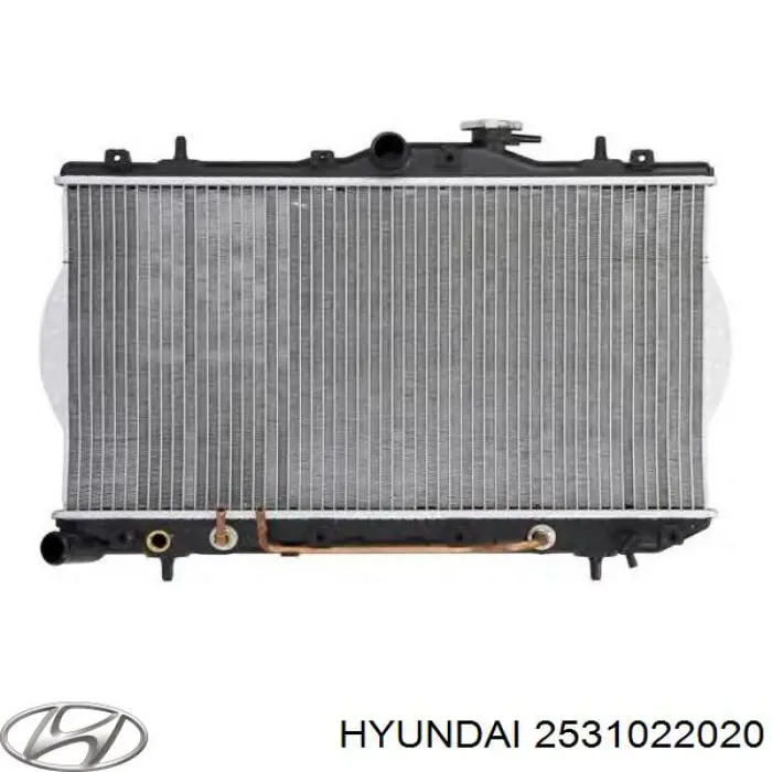 Радиатор 2531022020 Hyundai/Kia