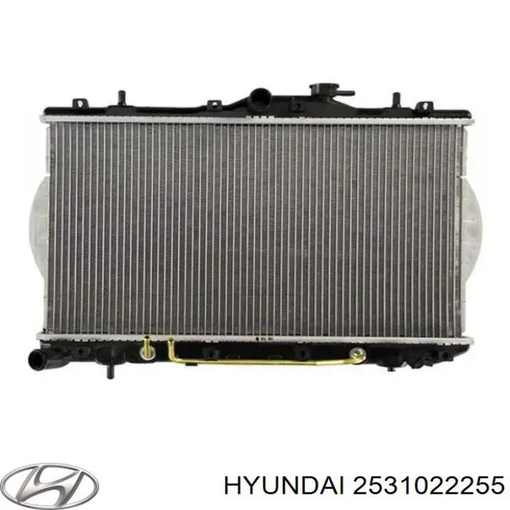 2531022255 Hyundai/Kia радиатор