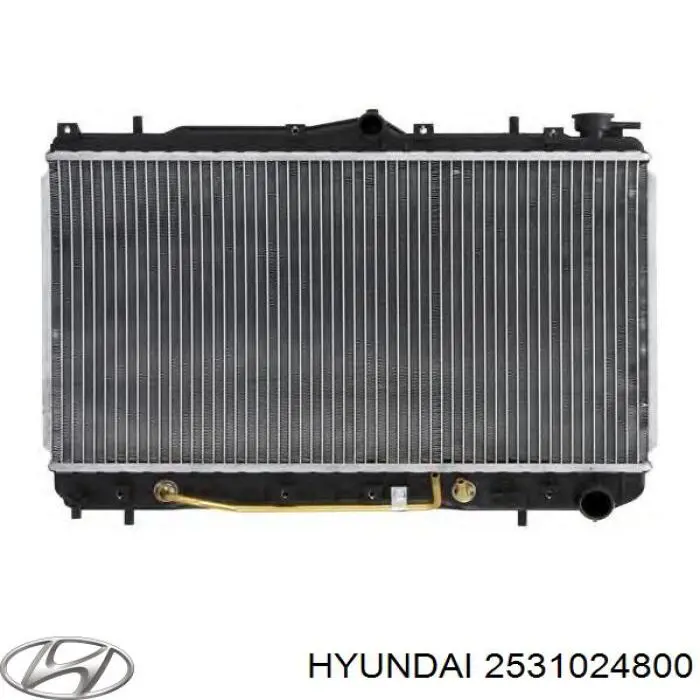 2531024700 Hyundai/Kia Радиатор основной