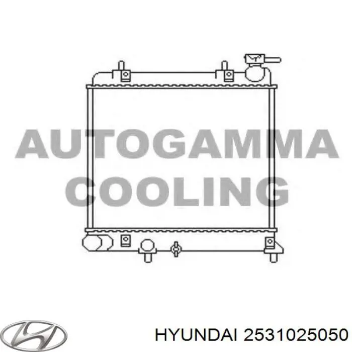 Радиатор 2531025050 Hyundai/Kia