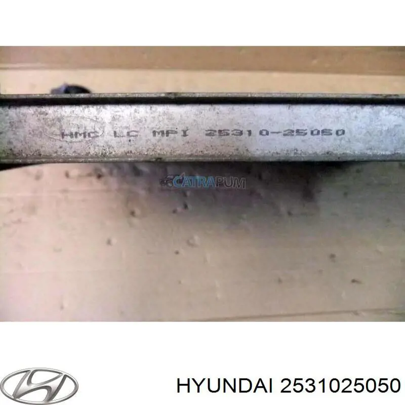 Радиатор охлаждения двигателя Hyundai/Kia 2531025050 цена, от 55.80 USD
