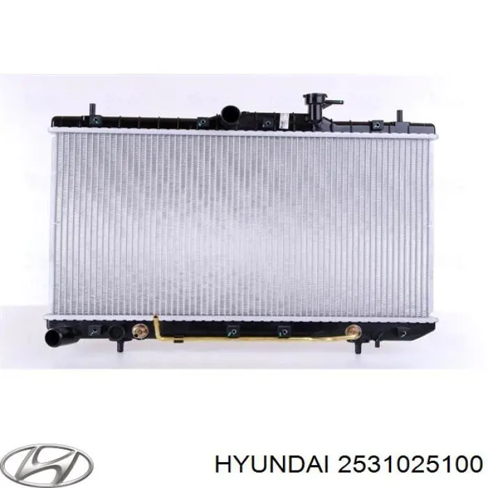 2531025100 Hyundai/Kia радиатор