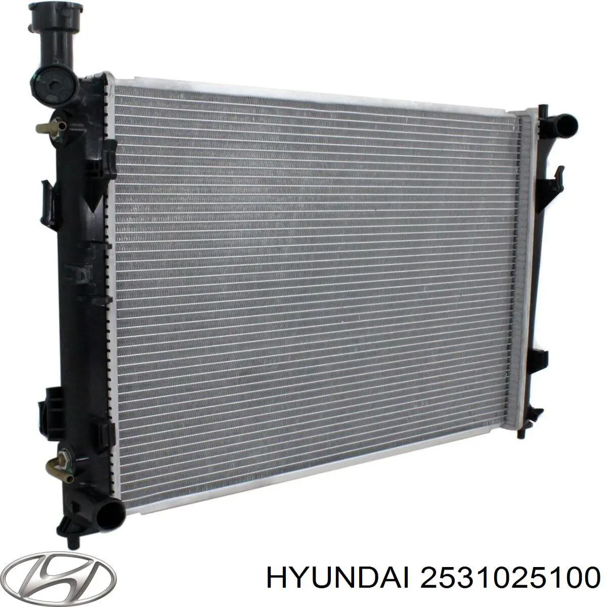 2531025100 Hyundai/Kia Радиатор основной