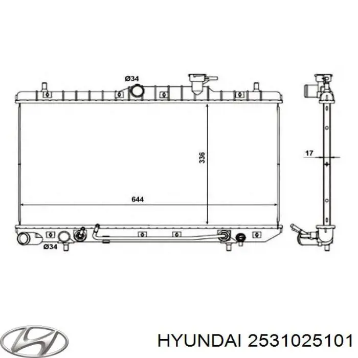 Радиатор 2531025101 Hyundai/Kia