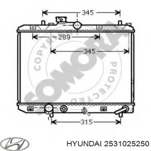 Радиатор 2531025250 Hyundai/Kia