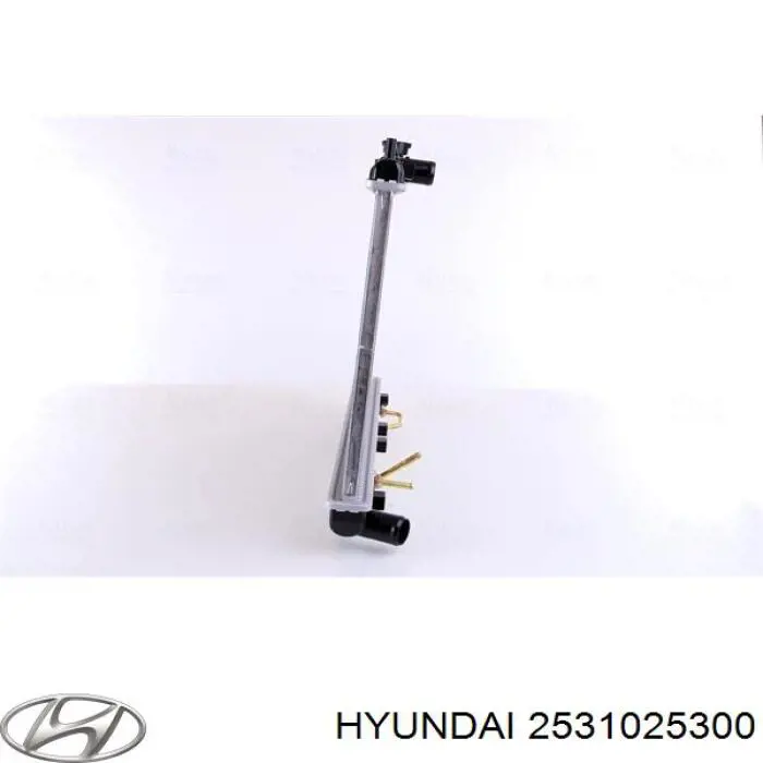 Радиатор 2531025300 Hyundai/Kia