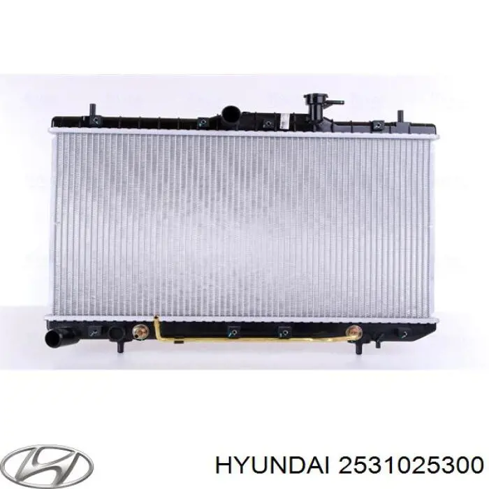 Купить 2531025300 Hyundai/Kia Радиатор водяной