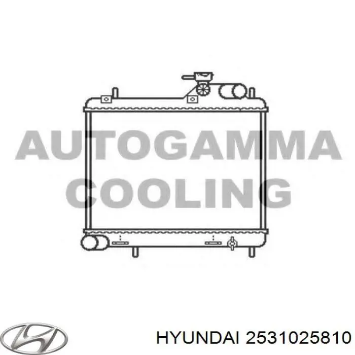 Радиатор охлаждения двигателя Hyundai/Kia 2531025810 цена, от 41.89 USD