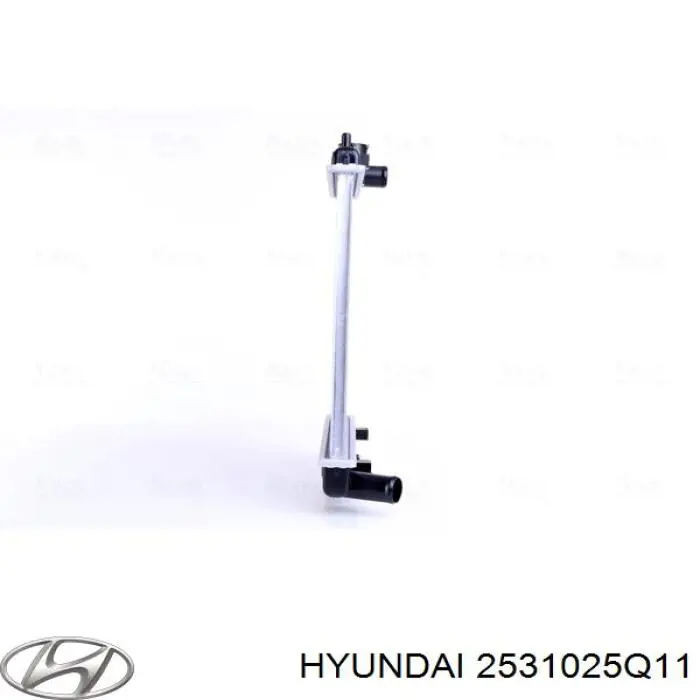Радиатор 2531025Q11 Hyundai/Kia