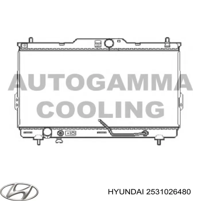 H156I20 NPS radiador de esfriamento de motor