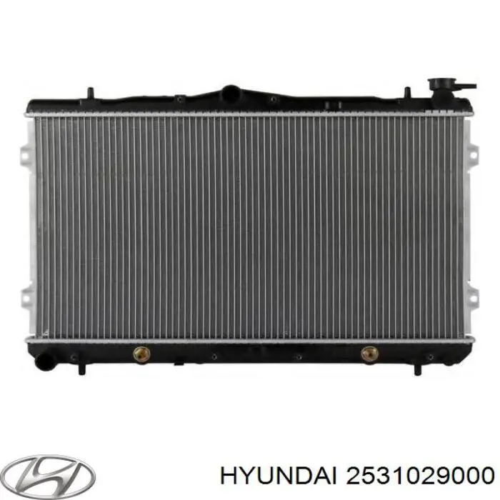 Радиатор охлаждения двигателя Hyundai/Kia 2531029000 цена, от 93.61 USD