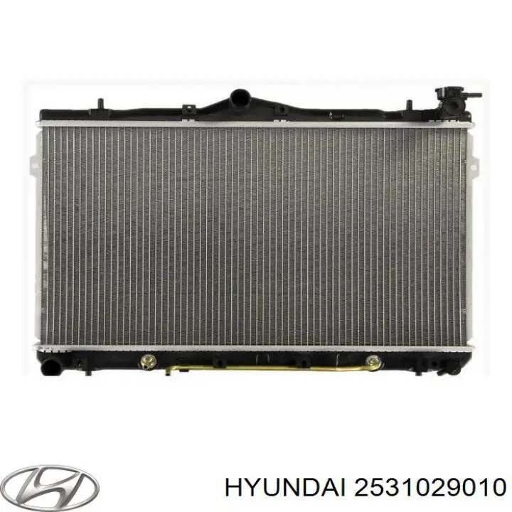 2531029010 Hyundai/Kia радиатор