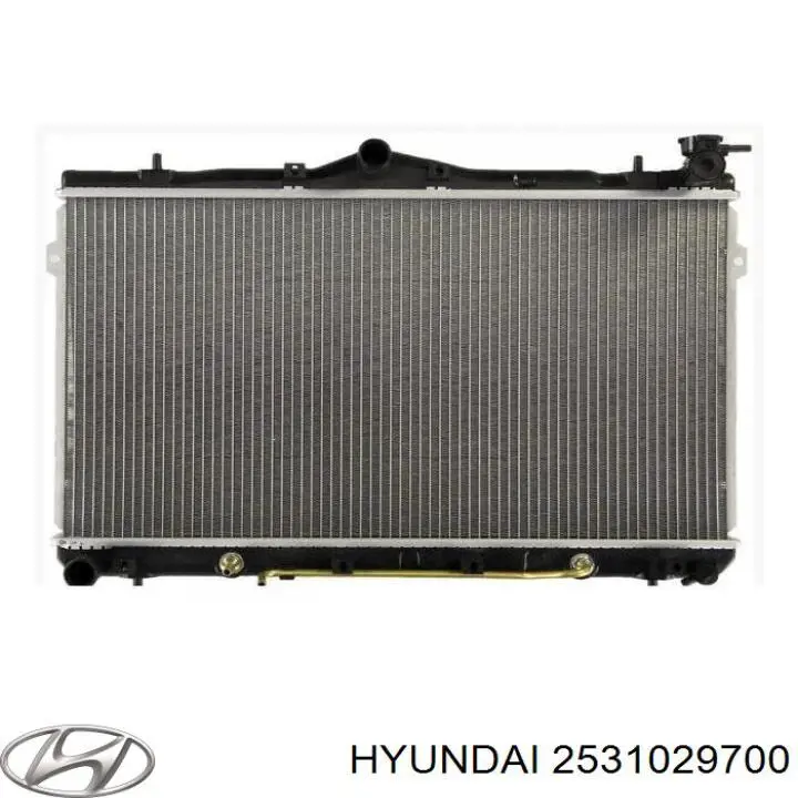 2531029700 Hyundai/Kia радиатор