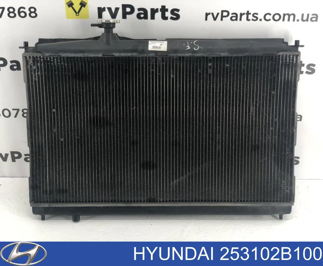 Радиатор охлаждения двигателя Hyundai/Kia 253102B100