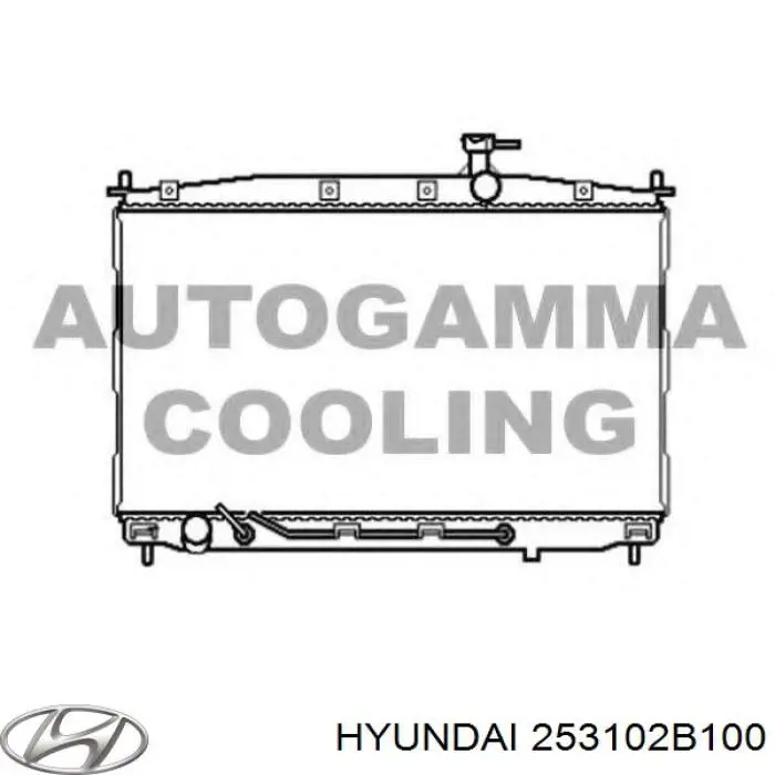 Радиатор 253102B100 Hyundai/Kia