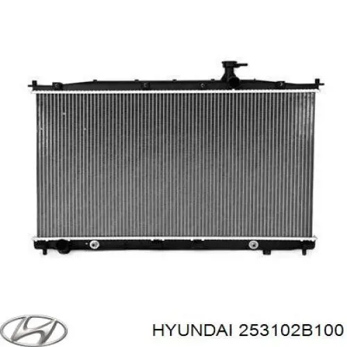 253102B100 Hyundai/Kia
