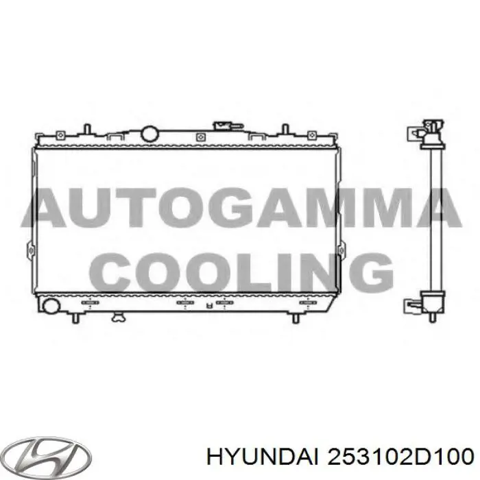 253102D100 Hyundai/Kia радиатор