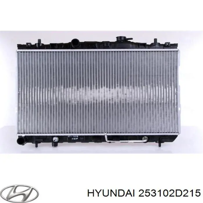 253102D215 Hyundai/Kia