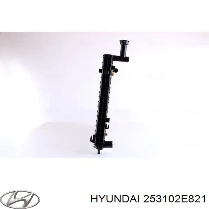 253102E821 Hyundai/Kia Радиатор основной
