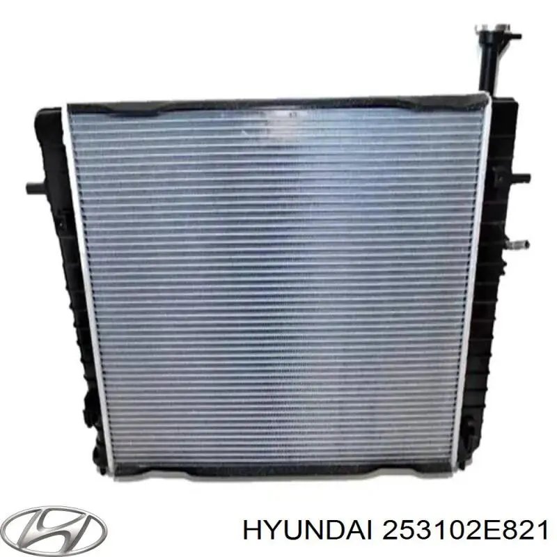 253102E821 Hyundai/Kia радиатор