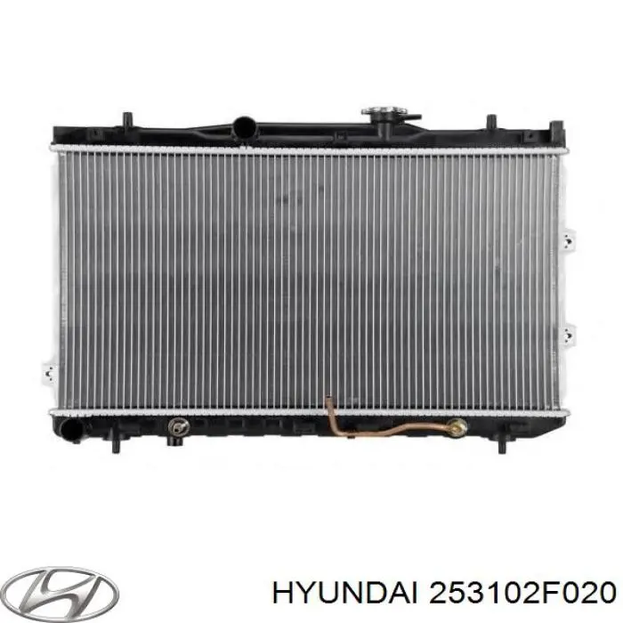  253102F020 Hyundai/Kia