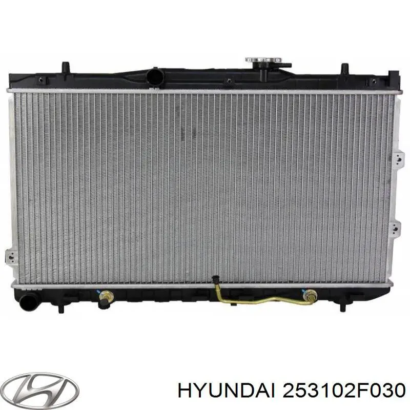 Радиатор охлаждения двигателя Hyundai/Kia 253102F030 цена, от 78.06 USD