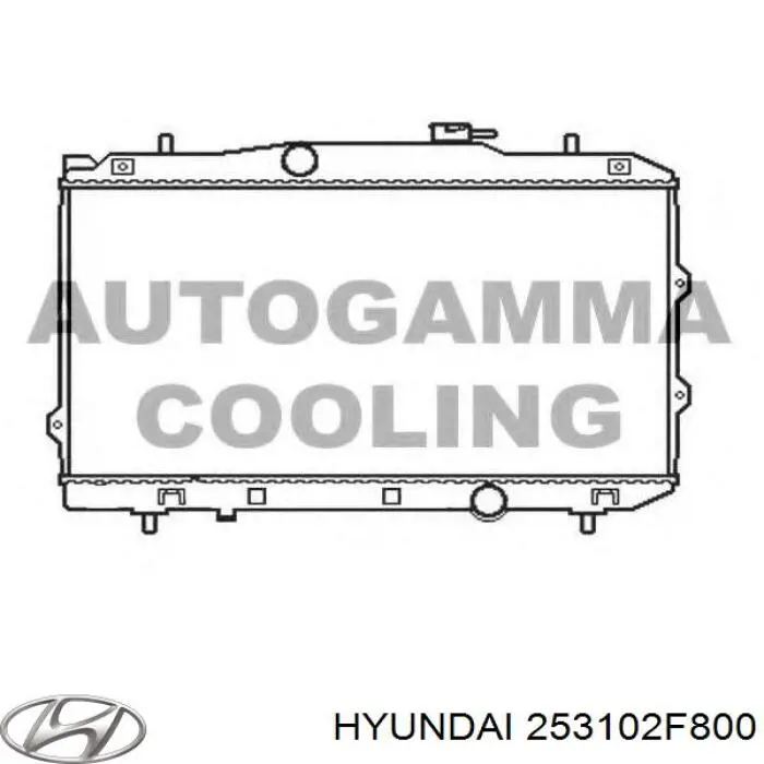 Радиатор 253102F800 Hyundai/Kia