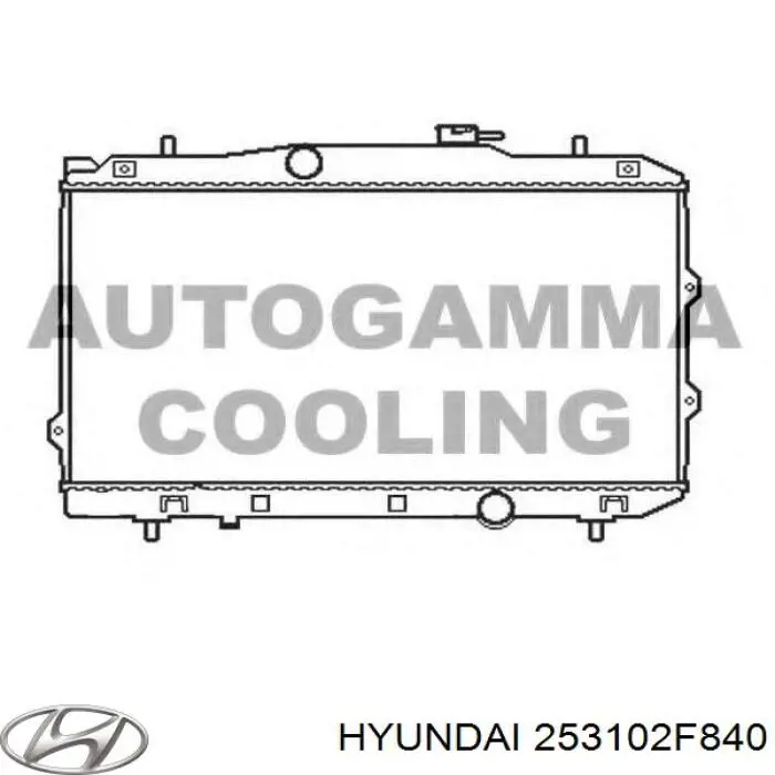 253102F840 Hyundai/Kia Радиатор основной