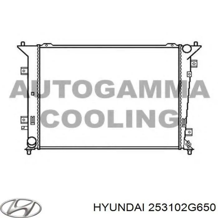 Радиатор охлаждения двигателя Hyundai/Kia 253102G650 цена, от 57.00 USD