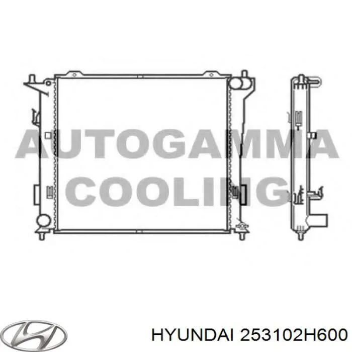 253102H600 Hyundai/Kia радиатор
