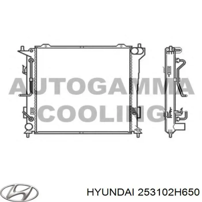 Радиатор 253102H650 Hyundai/Kia