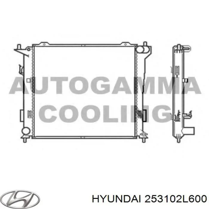 Радиатор охлаждения двигателя Hyundai/Kia 253102L600 цена, от 47.40 USD
