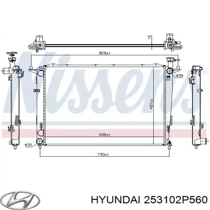 Радиатор 253102P560 Hyundai/Kia