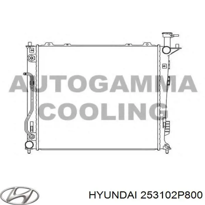 Радиатор 253102P800 Hyundai/Kia