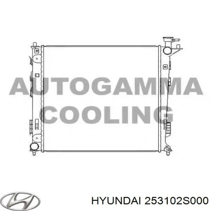 Радиатор охлаждения двигателя Hyundai/Kia 253102S000 цена, от 52.65 USD