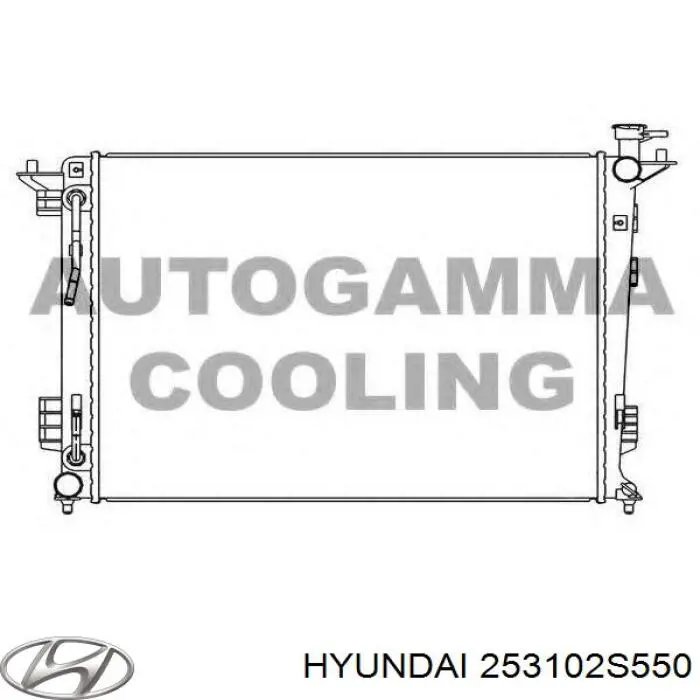 Радиатор охлаждения двигателя Hyundai/Kia 253102S550 цена, от 76.38 USD
