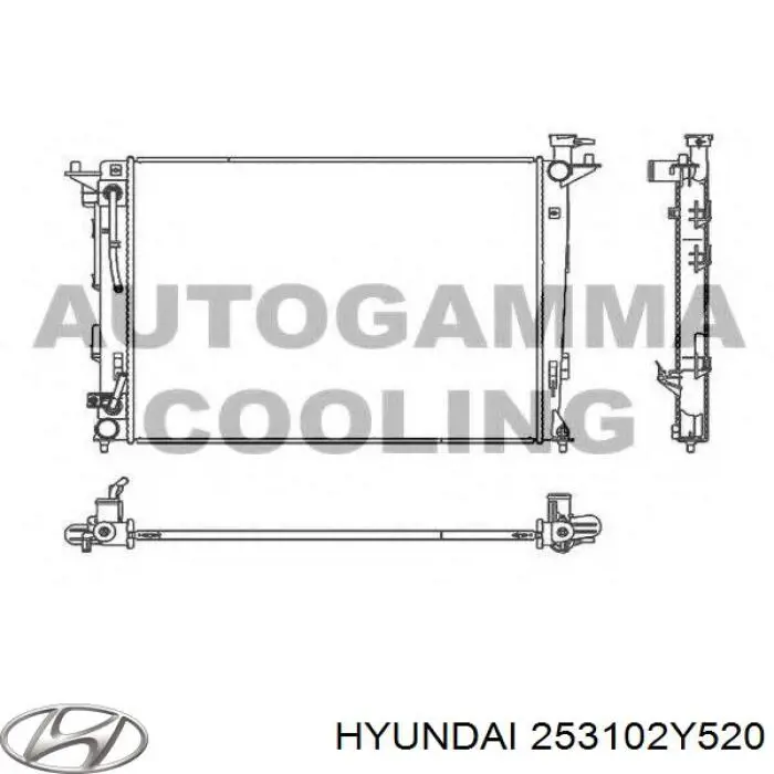 Радиатор охлаждения двигателя Hyundai/Kia 253102Y520