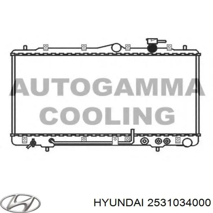 2531034000 Hyundai/Kia радиатор