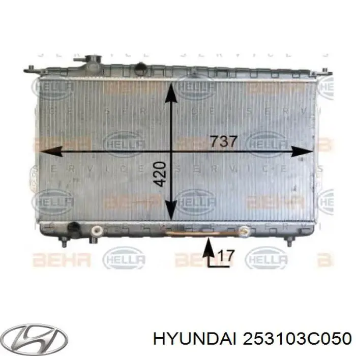 Радиатор 253103C050 Hyundai/Kia