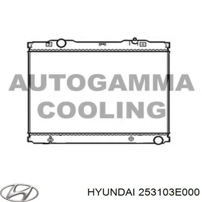 Купить 253103E000 Hyundai/Kia Радиатор водяной