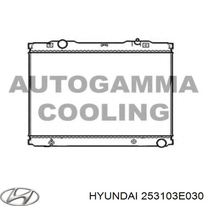 253103E030 Hyundai/Kia radiador de esfriamento de motor